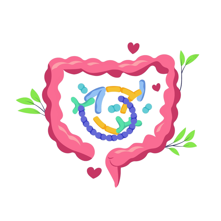 Digestie sanatoasa si fara paraziti