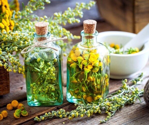 tinctură de tansy pentru îndepărtarea viermilor